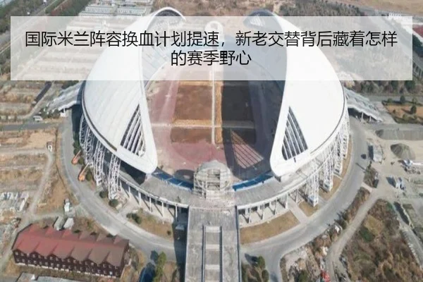国际米兰阵容换血计划提速，新老交替背后藏着怎样的赛季野心